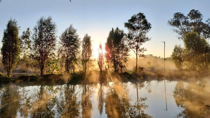 La naturaleza vuelve a la CDMX: Reportan regreso de especies a Zonas Naturales protegidas capitalinas