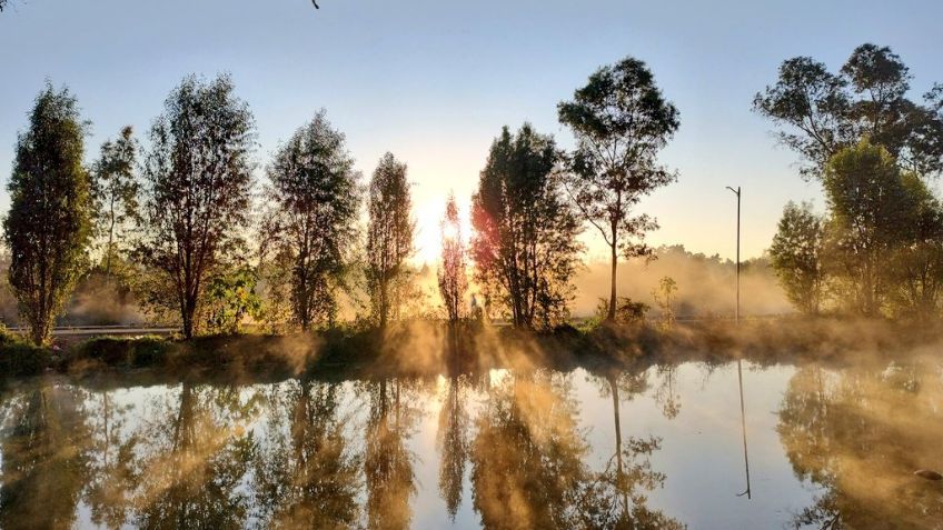 La naturaleza vuelve a la CDMX: Reportan regreso de especies a Zonas Naturales protegidas capitalinas