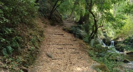 Heroicos: Oficiales rescatan a tres personas extraviadas en el Parque Nacional Los Dinamos, en CDMX