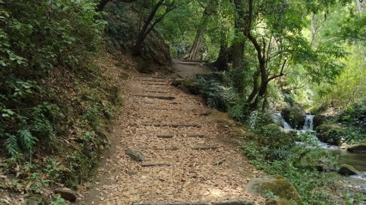 Heroicos: Oficiales rescatan a tres personas extraviadas en el Parque Nacional Los Dinamos, en CDMX