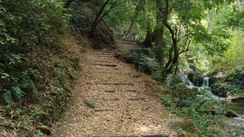 Heroicos: Oficiales rescatan a tres personas extraviadas en el Parque Nacional Los Dinamos, en CDMX