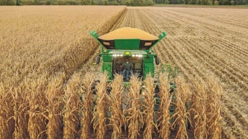 Tras las protestas, el campo navega en la incertidumbre en México; el Gobierno Federal no respondió