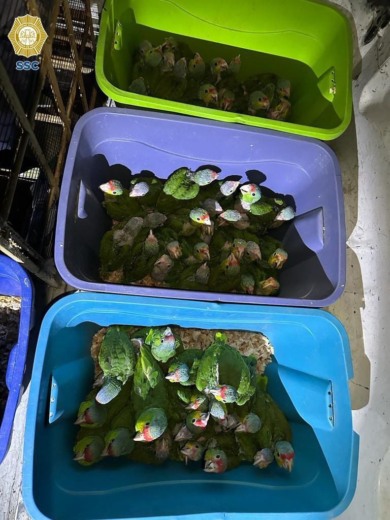 Mega operativo en Iztapalapa