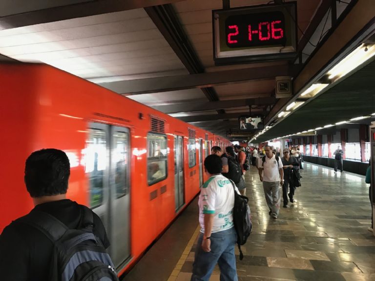 Cacomixtle en el Metro