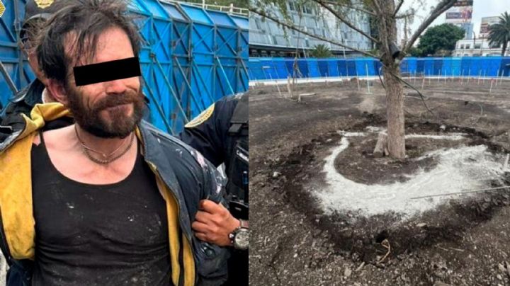 VIDEO: Cámaras de seguridad captan a Pablo mientras le echa cemento al nuevo ahuehuete de Reforma