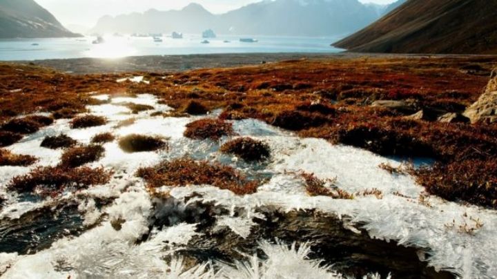 Cambio Climático: El Estado de México concientiza sobre la importancia de proteger el medio ambiente