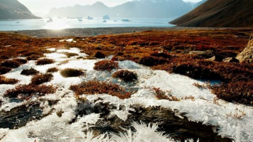 Cambio Climático: El Estado de México concientiza sobre la importancia de proteger el medio ambiente