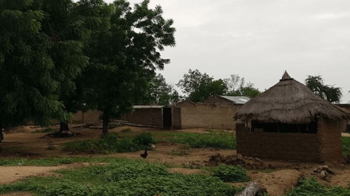 Tras días secuestradas, liberan a más de 30 mujeres en Camerún: Tenían heridas y marcas de tortura