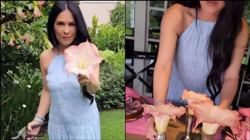 Martha Debayle intenta dar clase de etiqueta, pero comete fatal error al decorar con flores venenosas