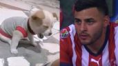 No perdonan: Las Chivas se vuelven blanco de MEMES tras perder la final 'en casa' ante Tigres