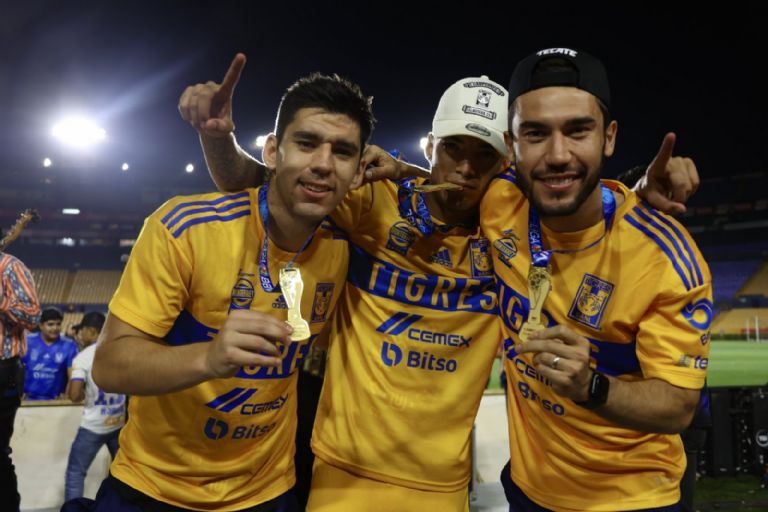 Tigres 