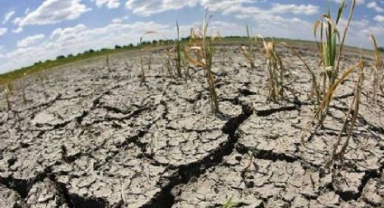Calentamiento Global: 'El Niño' provocará temperaturas extremas, lluvias y sequías, advierte la ONU