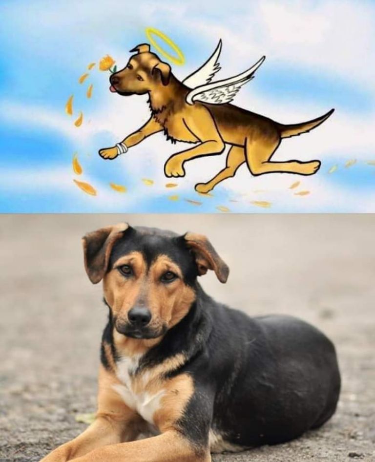 Agresor de perrito en Tecámac