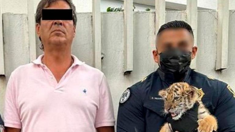 Detenido por venta de animales exóticos 