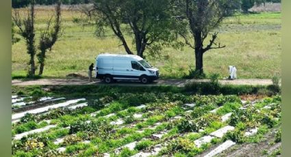 Al interior de una parcela, localizan cadáver masculino con huellas de violencia en Guanajuato