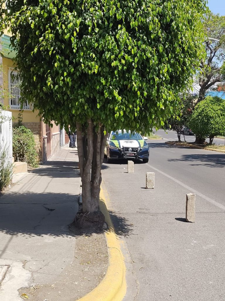 Franeleros en la CDMX