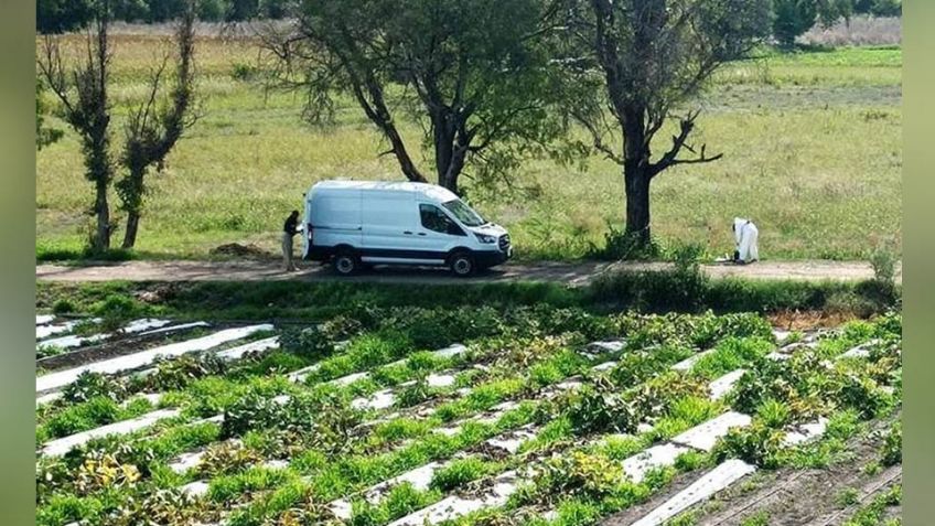 Al interior de una parcela, localizan cadáver masculino con huellas de violencia en Guanajuato