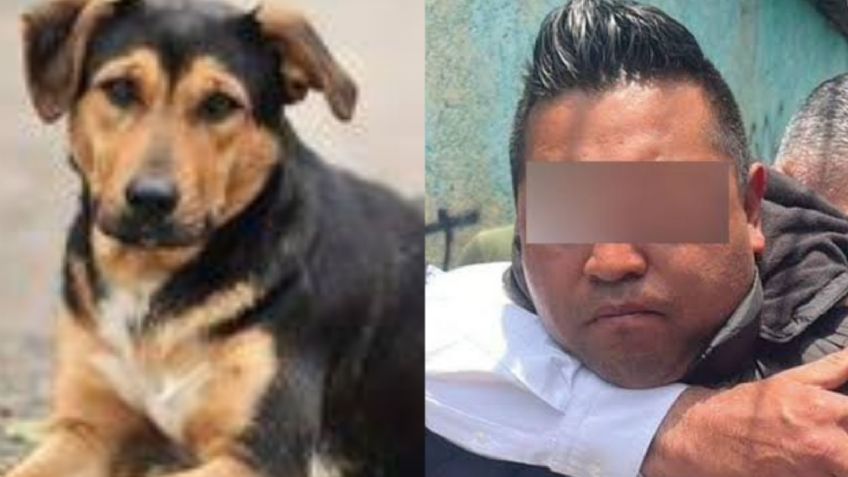 VIDEO: Viralizan momento en que reportero da puñetazo al asesino de 'Scooby'; Sheinbaum se pronuncia