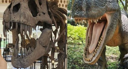 Los dinosaurios llegan a Los Pinos con nueva exposición para toda la familia en Chapultepec