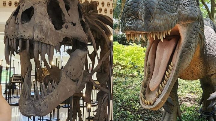 Los dinosaurios llegan a Los Pinos con nueva exposición para toda la familia en Chapultepec