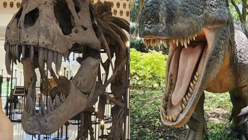 Los dinosaurios llegan a Los Pinos con nueva exposición para toda la familia en Chapultepec