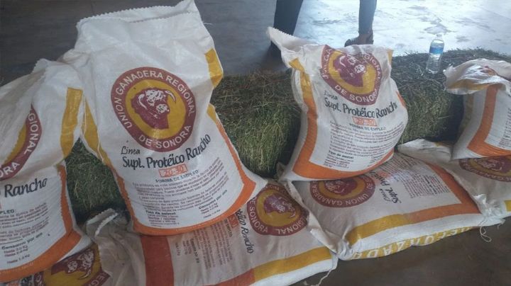 Ganaderos del Valle del Yaqui reciben apoyos federales; recibieron cerca de 138 toneladas de alimento