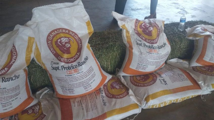 Ganaderos del Valle del Yaqui reciben apoyos federales; recibieron cerca de 138 toneladas de alimento