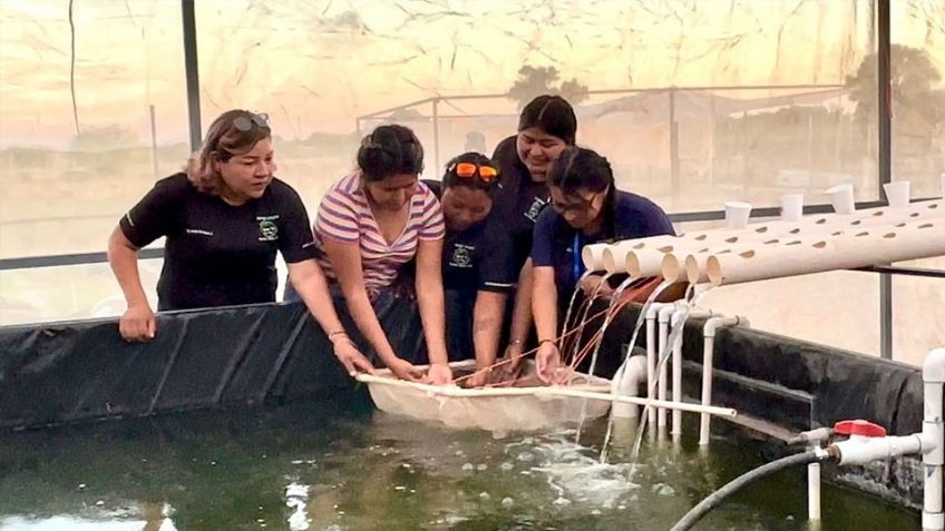 Etchojoa: Región del Mayo cuenta con primera generación de egresados de la Universidad del Bienestar