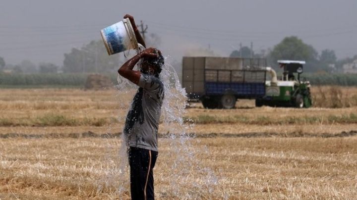 Ola de calor en el mundo causa decenas de decesos; India reporta 98 muertes en los últimos 3 días