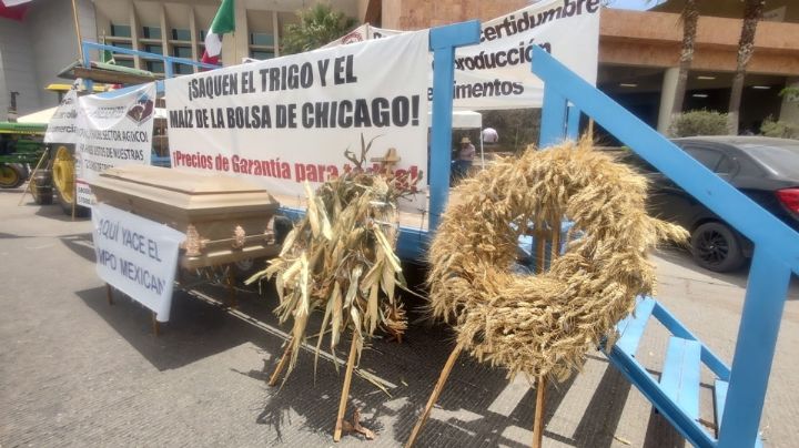 Ante la falta de acuerdos con el Gobierno, productores agrícolas amplían prórroga a nivel nacional