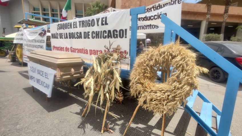 Ante la falta de acuerdos con el Gobierno, productores agrícolas amplían prórroga a nivel nacional