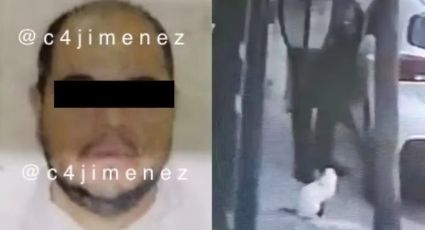 Maltrato animal en México: Tras caso de 'Scooby', cae sujeto que disparó contra un gato en el Edomex
