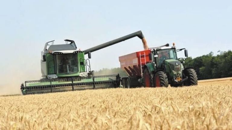 Agricultores del norte de México piden mejorar precios en granos. Foto: Internet