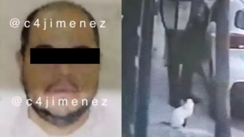 Maltrato animal en México: Tras caso de 'Scooby', cae sujeto que disparó contra un gato en el Edomex