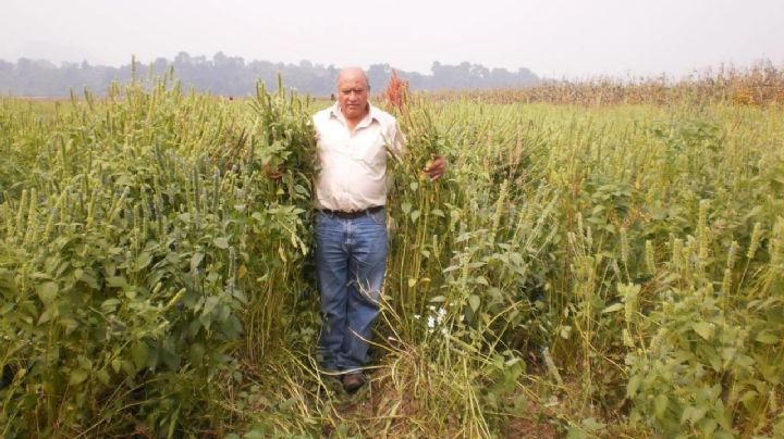 ¿Quién era Álvaro Arvizu Aguiñiga? Ambientalista asesinado en Edomex; golpearon a sus compañeros