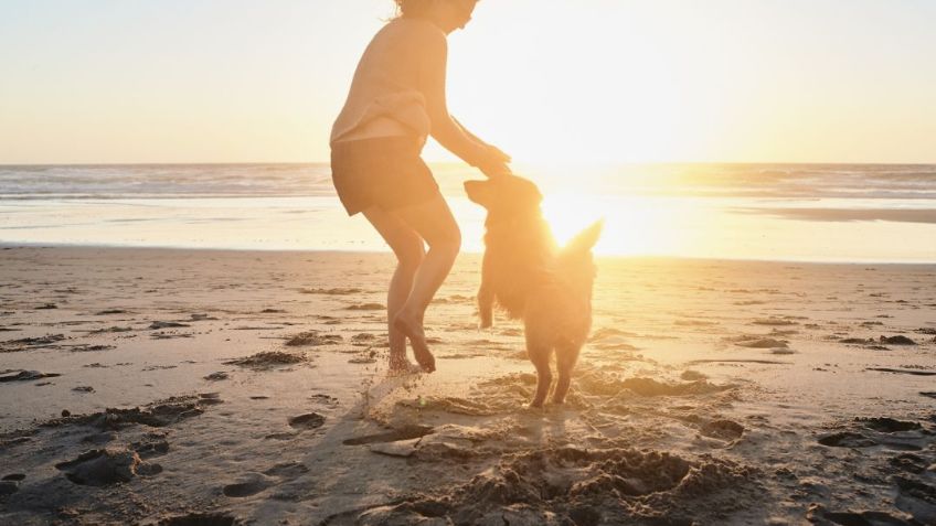 Yellow Day 2023 en México ¿Por qué es el día más feliz del año? Este es el origen de la celebración