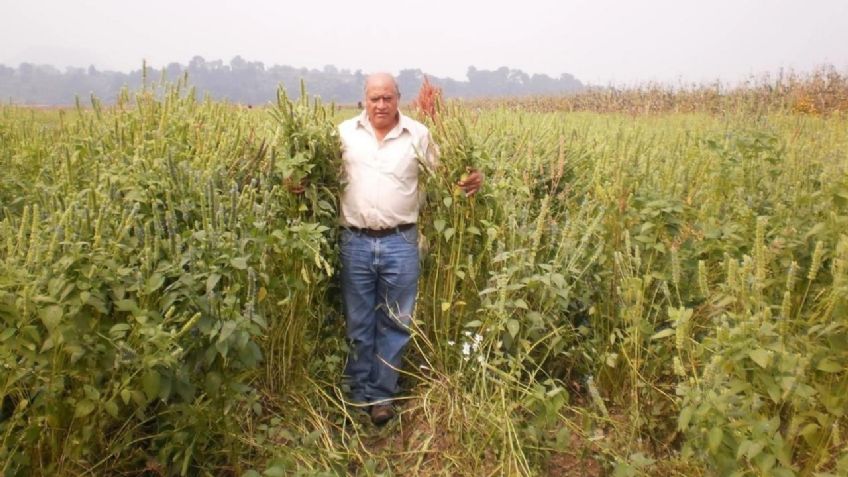 ¿Quién era Álvaro Arvizu Aguiñiga? Ambientalista asesinado en Edomex; golpearon a sus compañeros