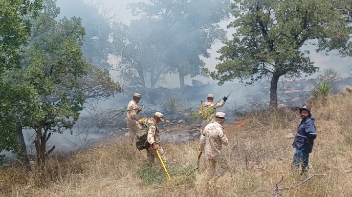 Incendios devastan miles de hectáreas en la sierra de Bacoachi y Nacozari; reportan control de 70%