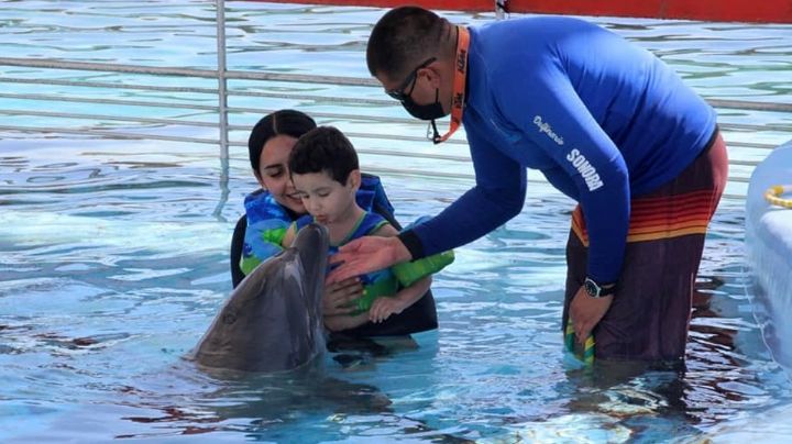 Delfinoterapias serán gratuitas en Sonora; abren registro para ofrecer 150 durante 2023