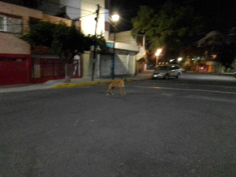 Colonia Moctezuma en la Venustiano Carranza 