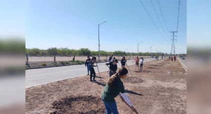 Sonora: 'Yo limpio Obregón' une causa social en su novena edición en el municipio de Cajeme