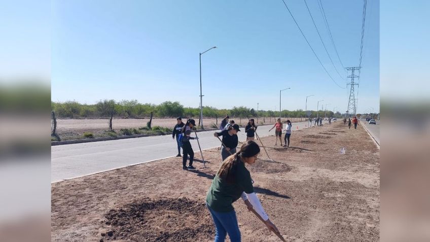 Sonora: 'Yo limpio Obregón' une causa social en su novena edición en el municipio de Cajeme