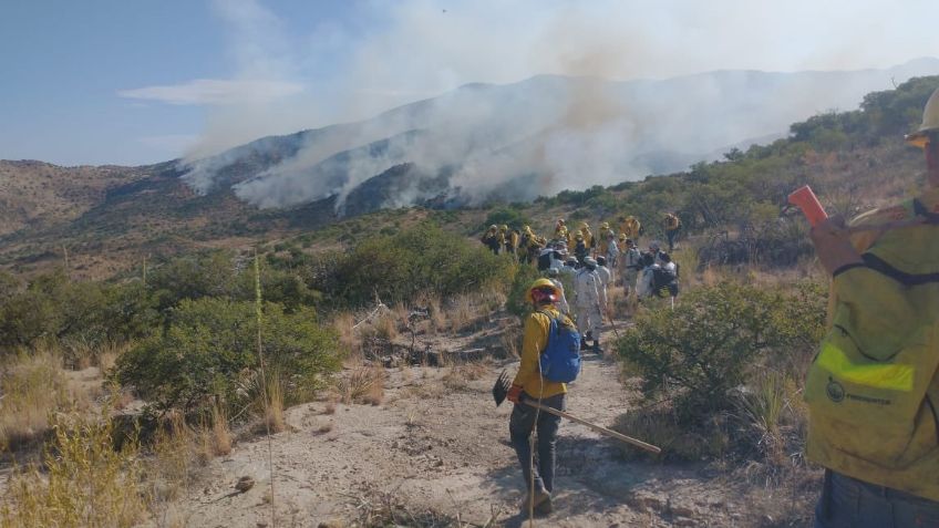 Incendio en  Ímuris el más grande de Sonora en los últimos 70 años: Protección Civil Sonora