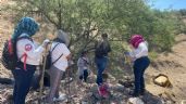 Foto ilustrativa de la nota titulada Madres Buscadoras de Nogales rescatan los restos de tres cadáveres y uno fue entregado a su familia