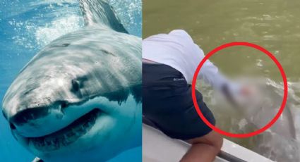 FUERTE VIDEO: Pescador pone las manos en la orilla de la lancha y un tiburón lo sorprende; esto pasó