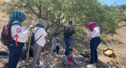 Madres Buscadoras de Nogales rescatan los restos de tres cadáveres y uno fue entregado a su familia