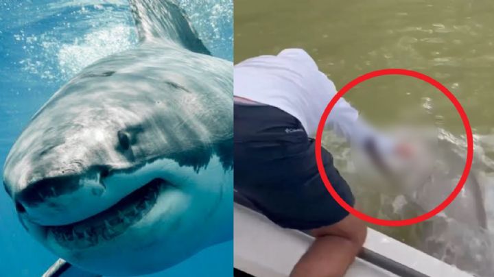 FUERTE VIDEO: Pescador pone las manos en la orilla de la lancha y un tiburón lo sorprende; esto pasó