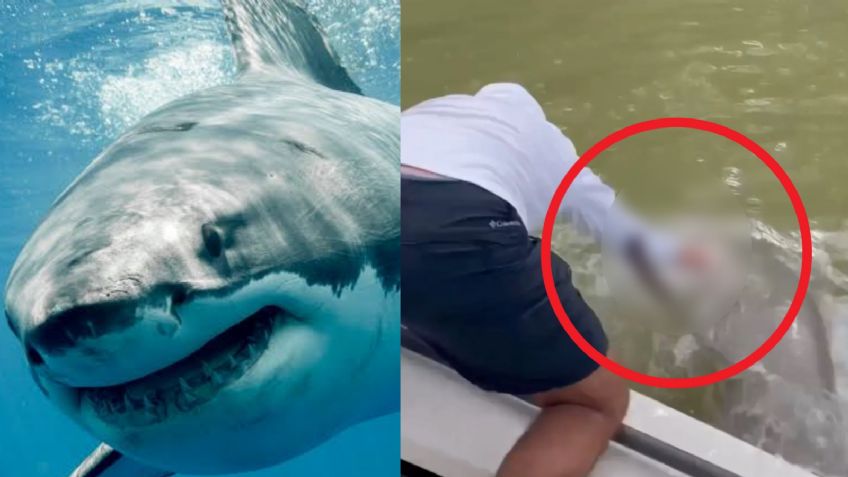 FUERTE VIDEO: Pescador pone las manos en la orilla de la lancha y un tiburón lo sorprende; esto pasó