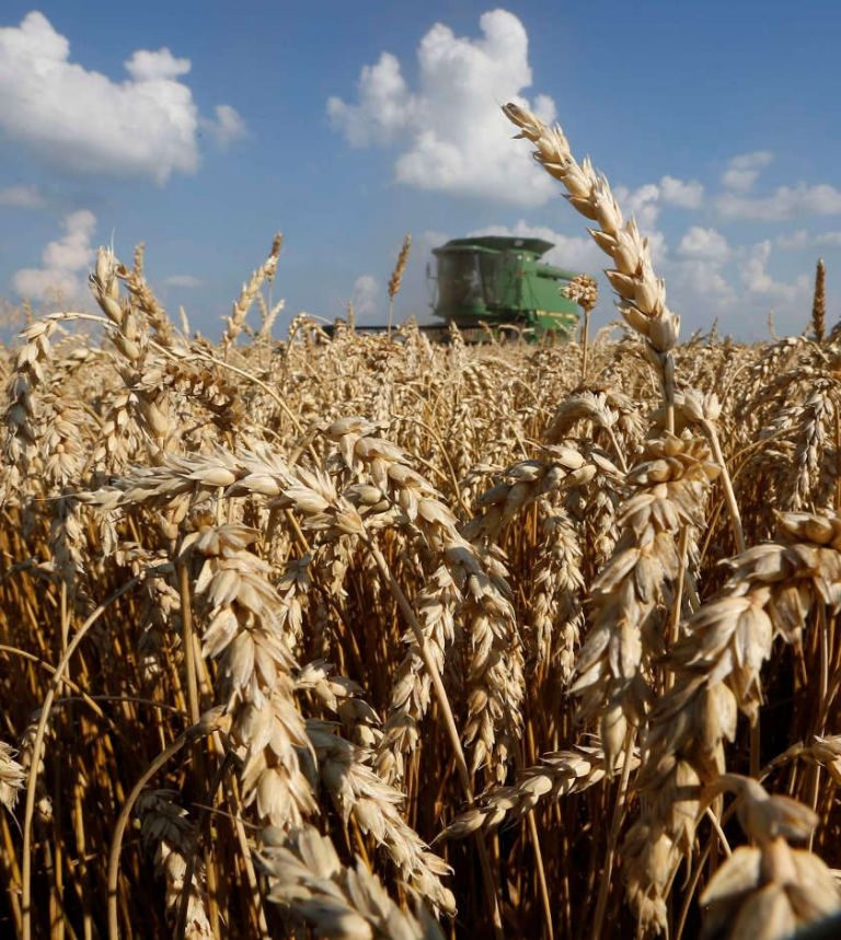 La promesa de AMLO sobre autosuficiencia alimentaria está lejana