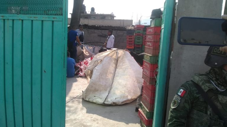 Coca Cola Pirata en Edomex